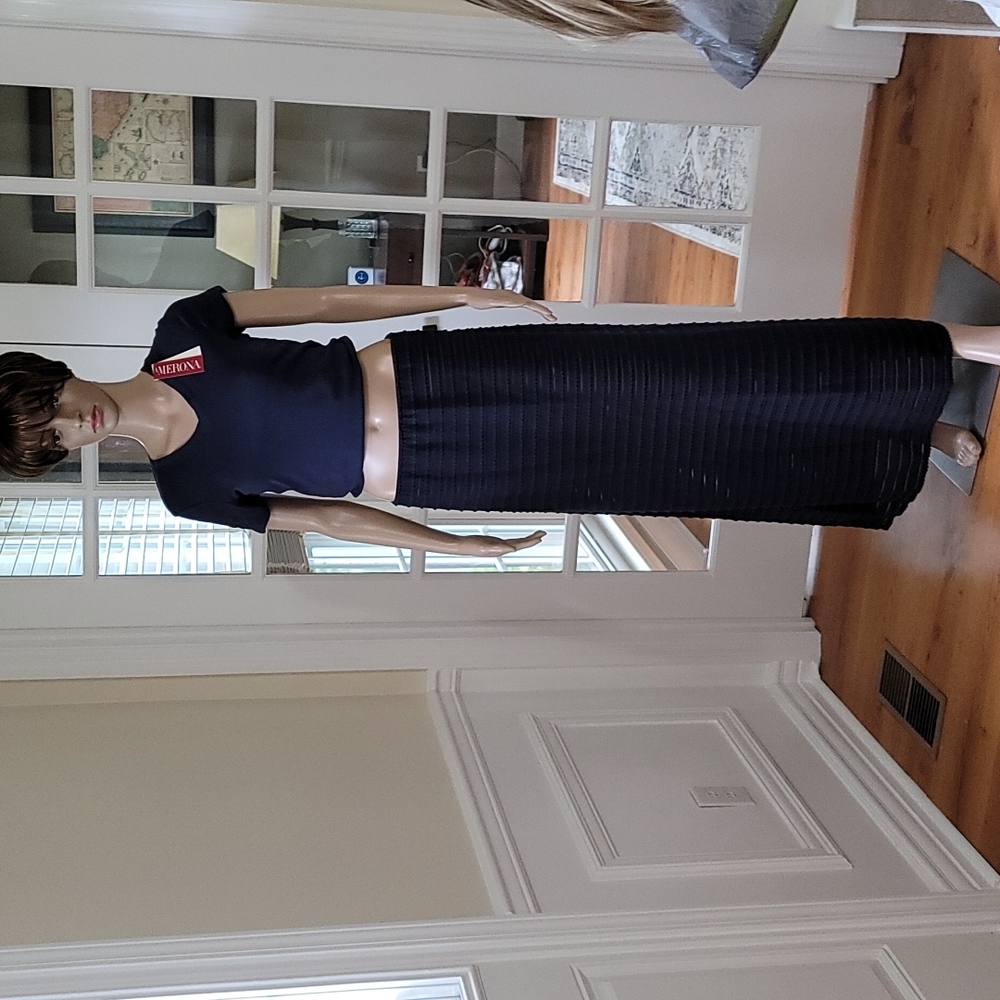 NWOT Sofia Max Skirt. Black and blue semi see through May need slip. Size M